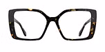 TOKYO TORTOISE