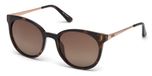 dark havana / brown polarized