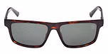DARK HAVANA / SHINY DARK GREEN / GREEN POLARIZED