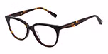 GLOSS TORTOISE