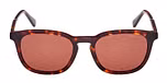 DARK HAVANA / DARK HAVANA / BROWN