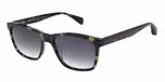 GLOSS GREEN TORT / GRADUATED