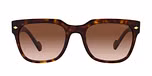 Dark Havana / Gradient Brown