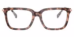 Pink Tortoise