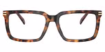 Vintage Tortoise