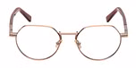 SHINY ANTIQUED LIGHT BRONZE / SHINY DARK BROWN