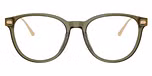 Transparent Olive