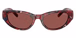 Red havana / Dark violet