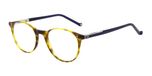 Light Tort UTX
