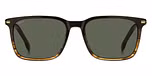 BROWN SHADED HORN (GREEN)