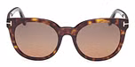 DARK HAVANA / DARK HAVANA / BROWN POLARIZED / ECO