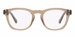 Shiny Transparent Light Brown