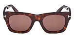 DARK HAVANA / DARK HAVANA / BROWN