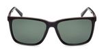SHINY BLACK / GREEN POLARIZED