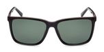 shiny black / green polarized