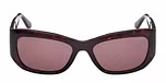 DARK HAVANA / DARK HAVANA / BROWN