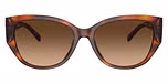 Caramel Tortoise / Brown Gradient