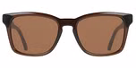 TRANSPARENT BROWN