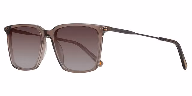 Paul Costelloe - 108