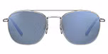 Shiny Silver / Mineral Polarized 555nm Blue Cat 2 to 3