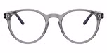 Shiny Transparent Grey
