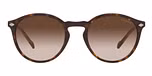 DARK HAVANA / havana / gradient brown