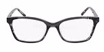 BLACK TORTOISE / BLACK