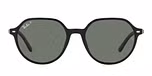 BLACK / black / polarized green