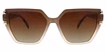 Brown / Gold / Polarized