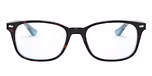 TOP HAVANA ON LIGHT BLUE / havana