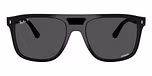 Black / Polarized Dark Grey