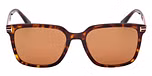 DARK HAVANA / DARK HAVANA / BROWN