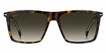 HAVANA BROWN (GREEN SHADED / GRADIENT) / ECO LIGHT ACETATE