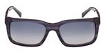 BLUE / HORN / BLUE/HORN / SMOKE POLARIZED