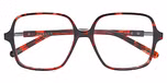 RED TORTOISE