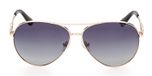 GOLD / SMOKE POLARIZED