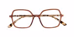BROWN MEDIUM TRANSPARENT