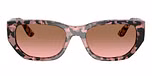 Pink Tortoise / Tortoise / Pink Gradient Brown