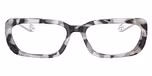 Black white tortoise