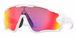 POLISHED WHITE / white / prizm road