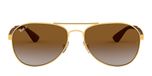 GOLD / gold / light grey gradient brown polarized