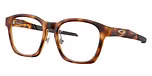 Matte Brown Tortoise