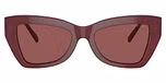 Dark Red Transparent / Cordovan