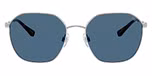 Shiny Silver / Dark Blue
