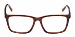 Brown Horn / Brown Horn