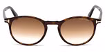 DARK HAVANA / GRADIENT BROWN
