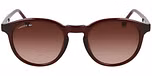 TRANSPARENT BURGUNDY