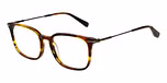 GLSS BROWN HORN