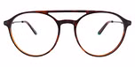 Bright Tortoise