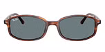 Striped Havana / Brown / Blue